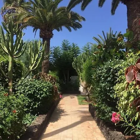 Apartament Terrace Flor